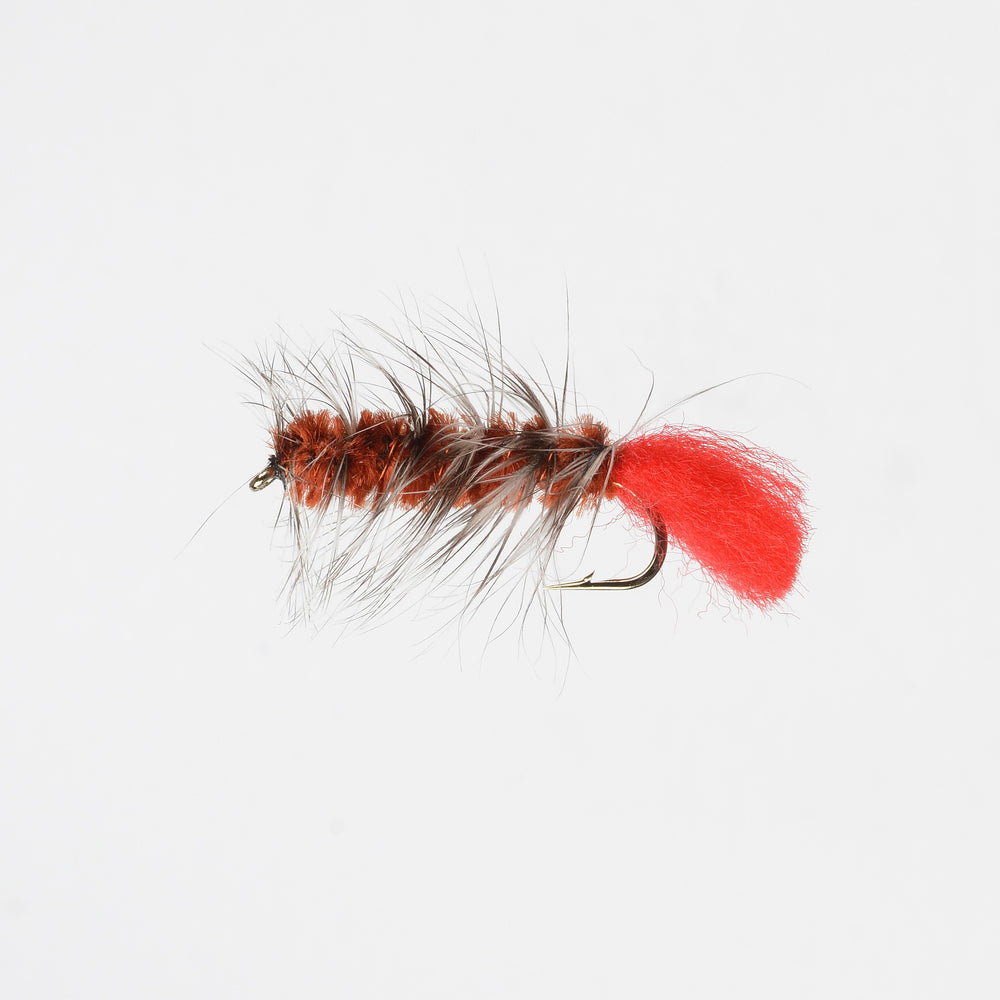 Nymph Wooly Worm Black