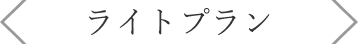 ライトプラン