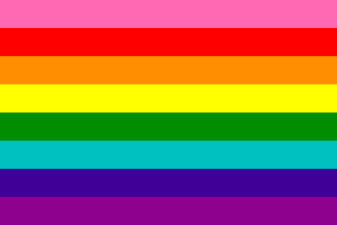 8-color-pride-flag