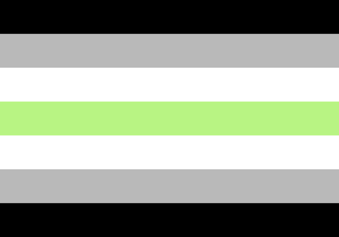 agender-pride-flag-fontana-green-white-grey-black
