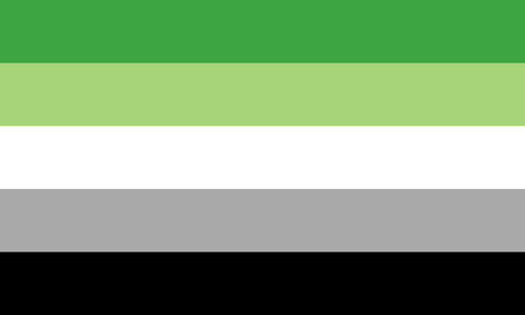 aromantic-pride-flag-green-white-grey-black-whimsey