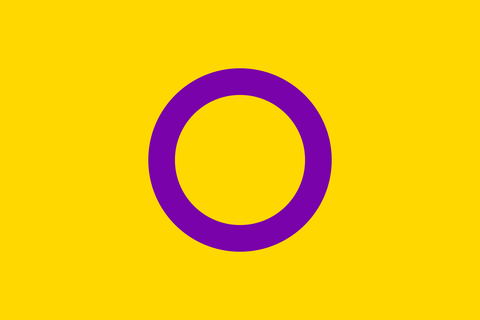 intersex-flag-carpenter-yellow-purple