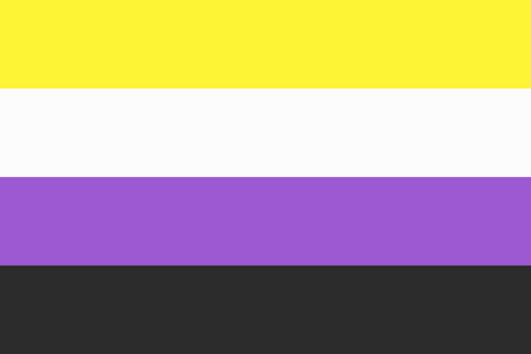 non-binary-nonbinary-pride-flag-rowan