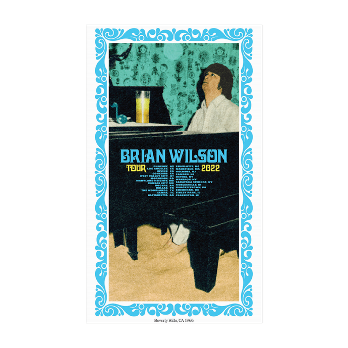 Brian Wilson Store