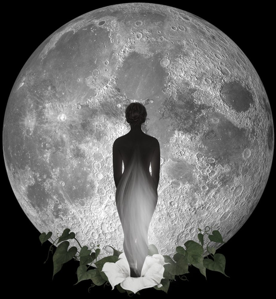 wylde-moon-logo-with-lady-on-the-moon.jpeg__PID:d49788cf-a24c-4f91-87a1-9e366dafb03e