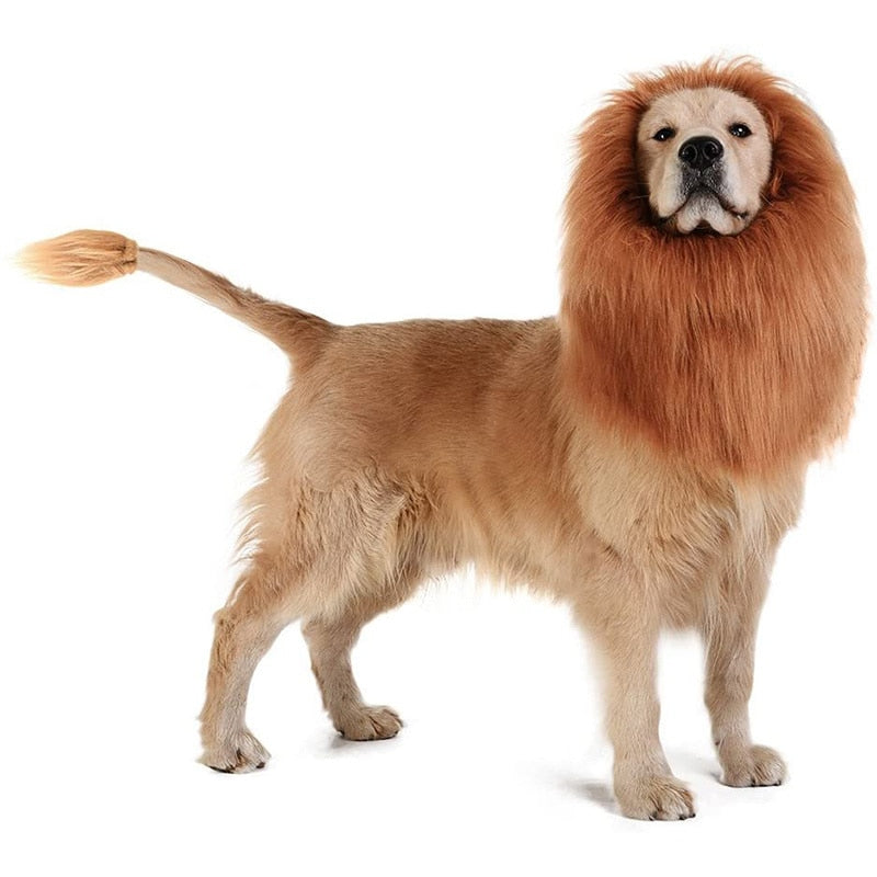 Lion Mane Adjustable Dog Costume – Paul Meets Paws