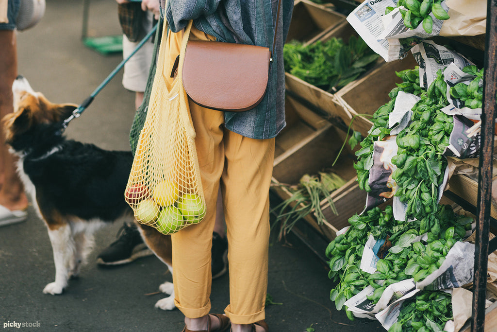 Young lady at markets, carrying leather handbag cross body. Fresh fruit & veg sit in a sling bag. We see the back of the lady & her dog. 