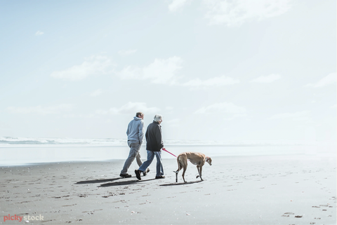 Figures walk their dog along beach