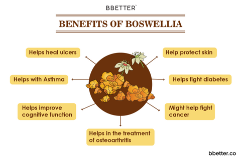 Boswellia - Uses, Benefits and Dosage