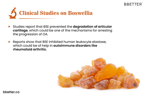 Clinical evidence of the benefits of Boswellia