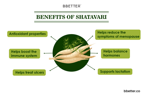 Benefits of Shatavari