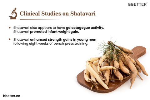 Scientific studies on Shatavari