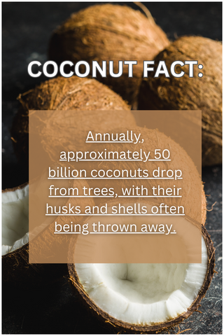 coconut covering
