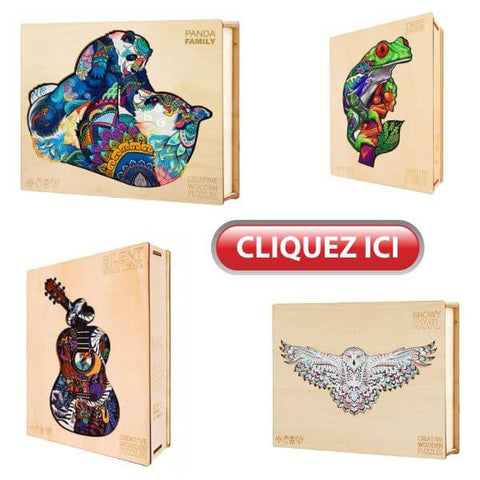 puzzle adulte puzzle moderne adulte puzzle original coffret en bois puzzle bois