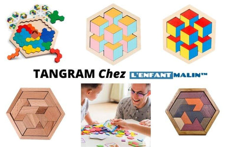 Puzzle puzzle en bois case tete jeu de reflexion casse-tete chinois en bois casse tete bouteille casse tete cube soma tangram l'enfant malin casse tete adulte; 