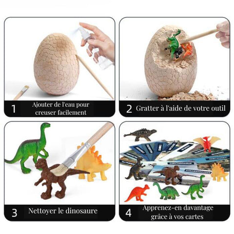 oeufs de dinosaures pour les apprentis paléontologue dinosaures jouet