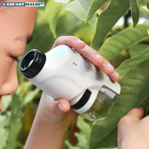 Microscope portable, Microscope portatif jaune commutable pour enfants,  lumière douce et légère pour enfants pour spécimens : : Commerce,  Industrie et Science