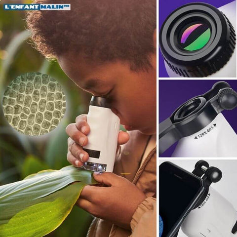 Microscope enfant - Micropoche™ microscope junior transportable – L'Enfant  Malin