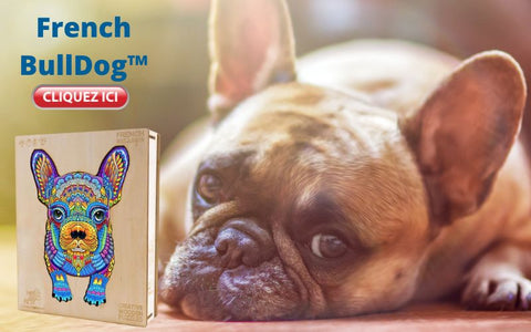 puzzle chien puzzle french bulldog puzzle bulldog français  puzzle animaux puzzle adulte puzzle en bois puzzle animaux jigsaw puzzle grand puzzle adulte puzzle adulte moderne puzzle adulte original puzzle 3D bois puzzle animaux bois puzzle coffret cadeau de noel puzzle bois adulte