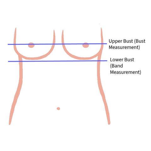 Tear Drop Breast - Round, but slightly less full at the top – Adelais  Lingerie