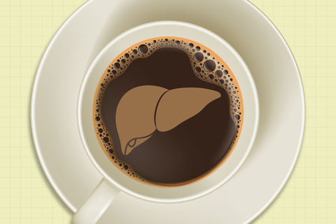 coffee and liver
