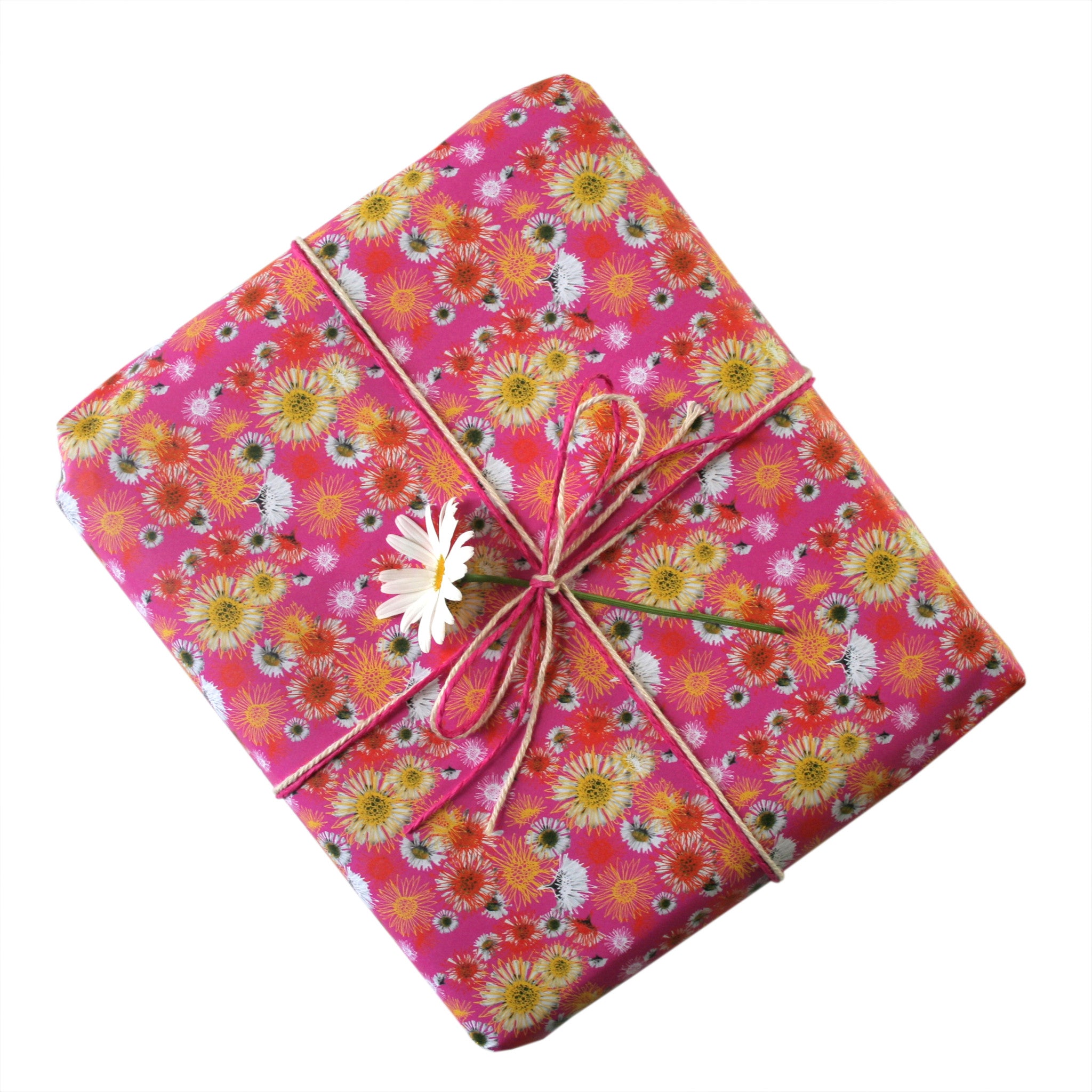 Daisy A Day Pink Gift Wrapping Paper – paprly