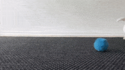 Lallypet™ Magic Rolling Ball