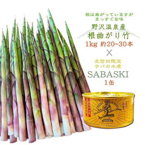 野沢温泉の旬の味「天然 根曲がり竹」全国発送開始！