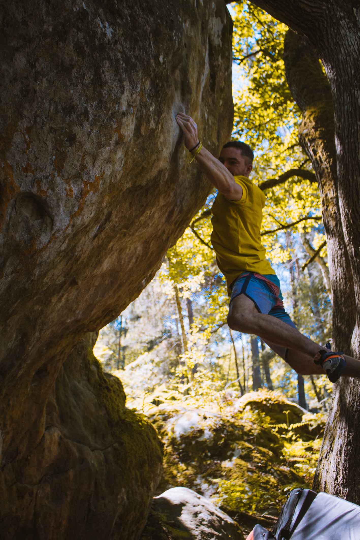 Le Chaînon manquant est un bloc du secteur d'escalade Le Rocher Canon en forêt de Fontainebleau. Le secteur est accessible à pieds depuis la Gare de Bois le Roi