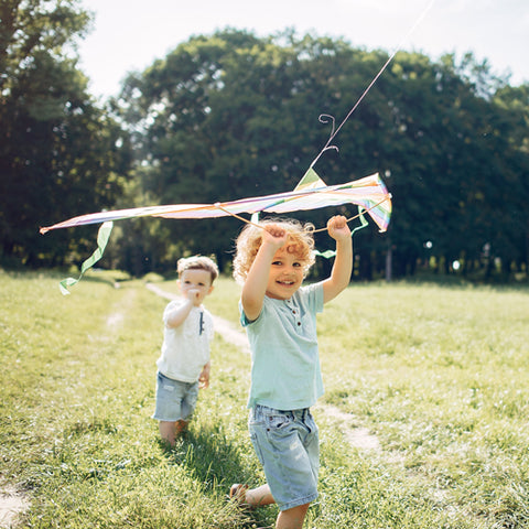kids fly a kite in spring