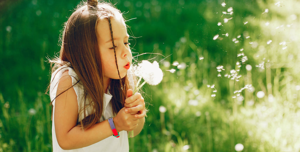 Ensemble d'artisanat ballon animaux  Activité amusante pour les enfants