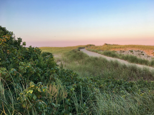 best cape cod beach