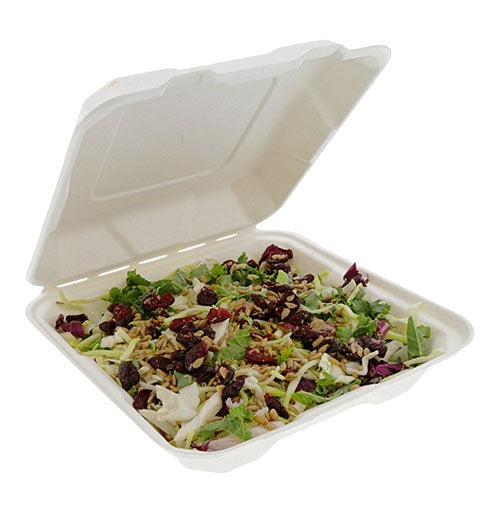 Disposable Take-Out Container Sizes & Materials Guide