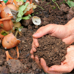 person holding rich community composted soil