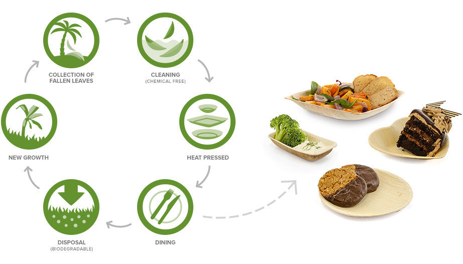 How Palm Leaf Tableware is Made