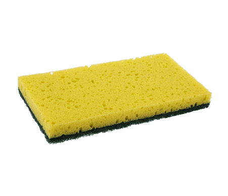 Scouring Pad/Sponge Combo