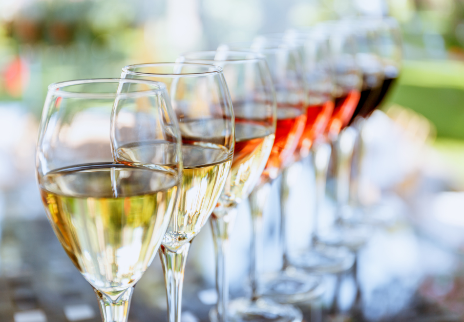 row of wine glasses with different wines in them