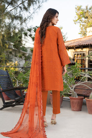 embroidered cotton suit