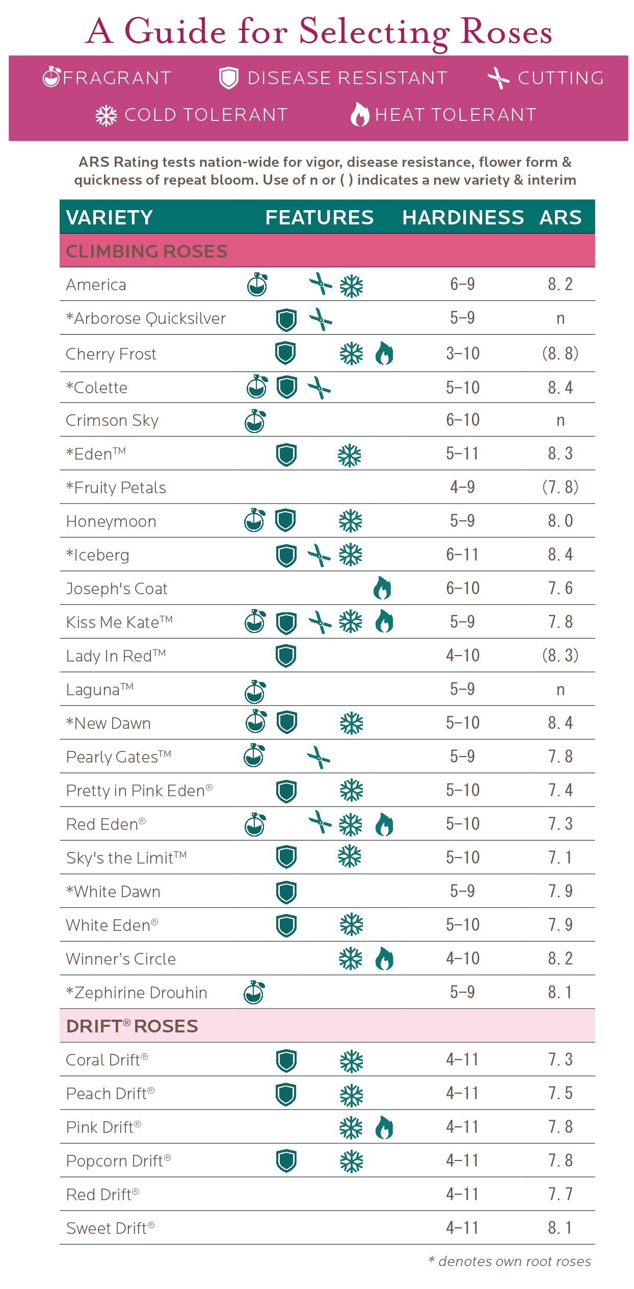Rose Selection Guide Witherspoon Rose Culture