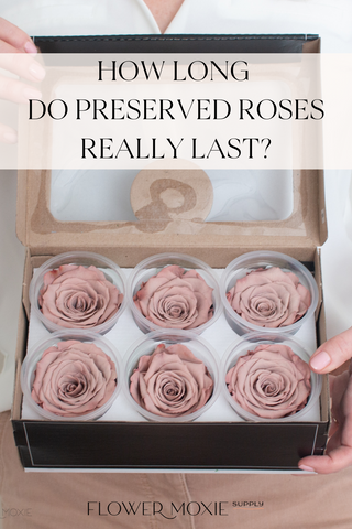 how long do preserved flowers last?
