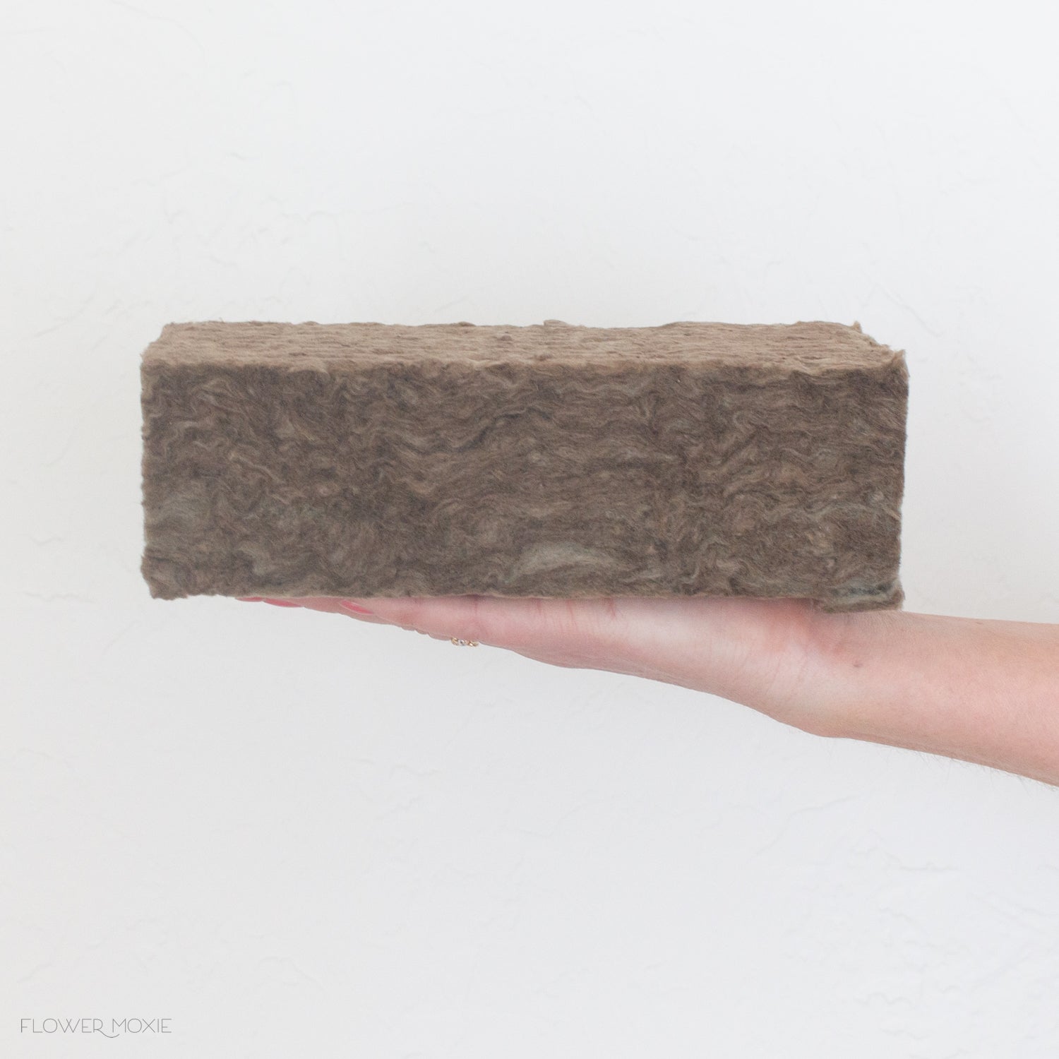 Oasis Floral Foam (Wet) Bricks Standard Maxlife 3pk : : Home