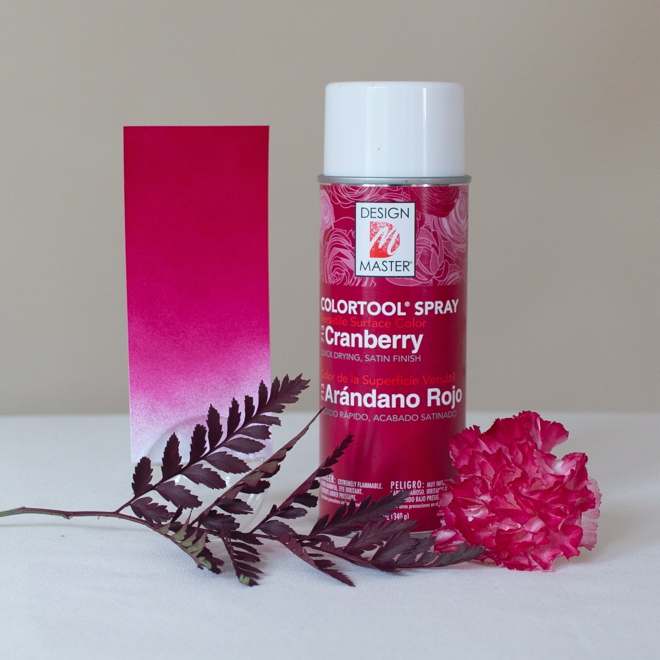 Raspberry Design Master Colortool Floral Spray Paint