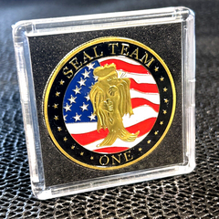 US NAVY Seal Team One (1) Challenge Coin on eBay