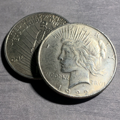 Liberty Skull Peace Skeleton Dollar Novelty Heads Tails Challenge Coin 39mm-eBay USA OSM Brands