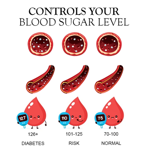 PureLife BloodSugar Support IONRing