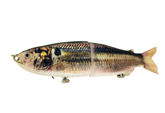 6 The Trick Thread Fin Shad Cali Glide Swimbait – caliglideswimbaits