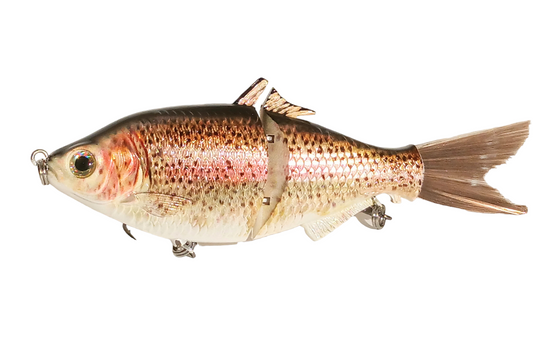 9 Rainbow Trout Handmade Swimbait – caliglideswimbaits