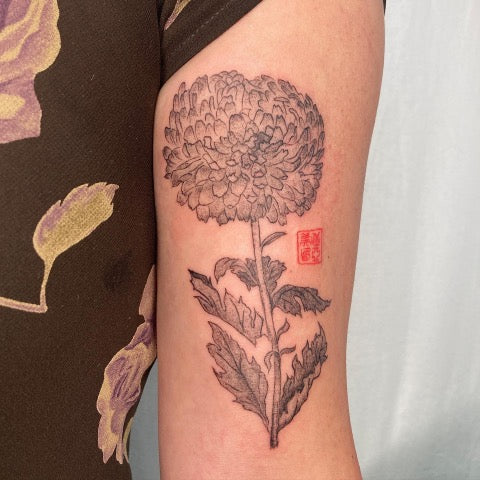 Chinese Chrysanthemum Tattoo