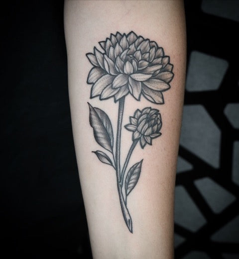 Chrysanthemum Drawings Tattoos