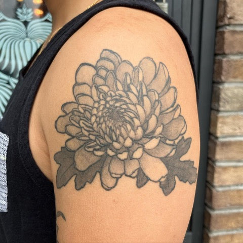 Chrysanthemum Tattoo Black and White